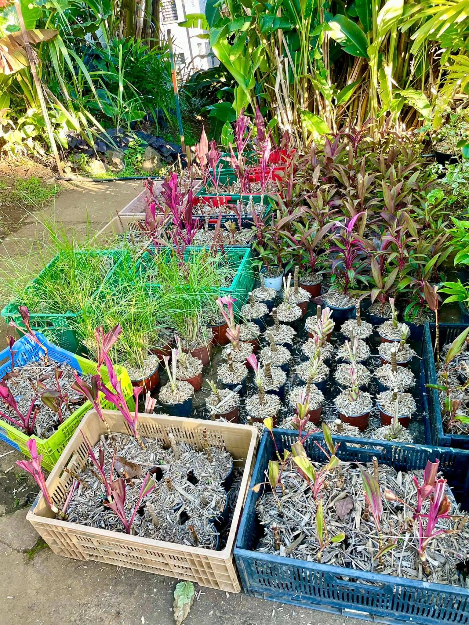 486303507_682380561023741_3700055963354010003_n