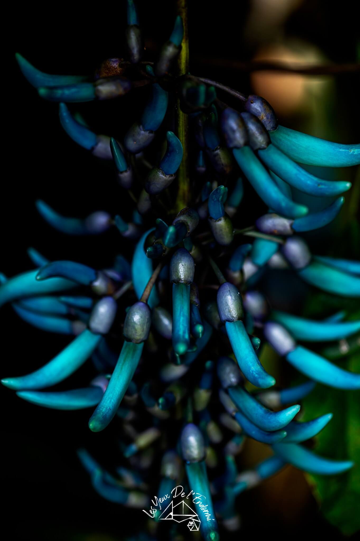 486463940_684059447522519_361042098643459100_n