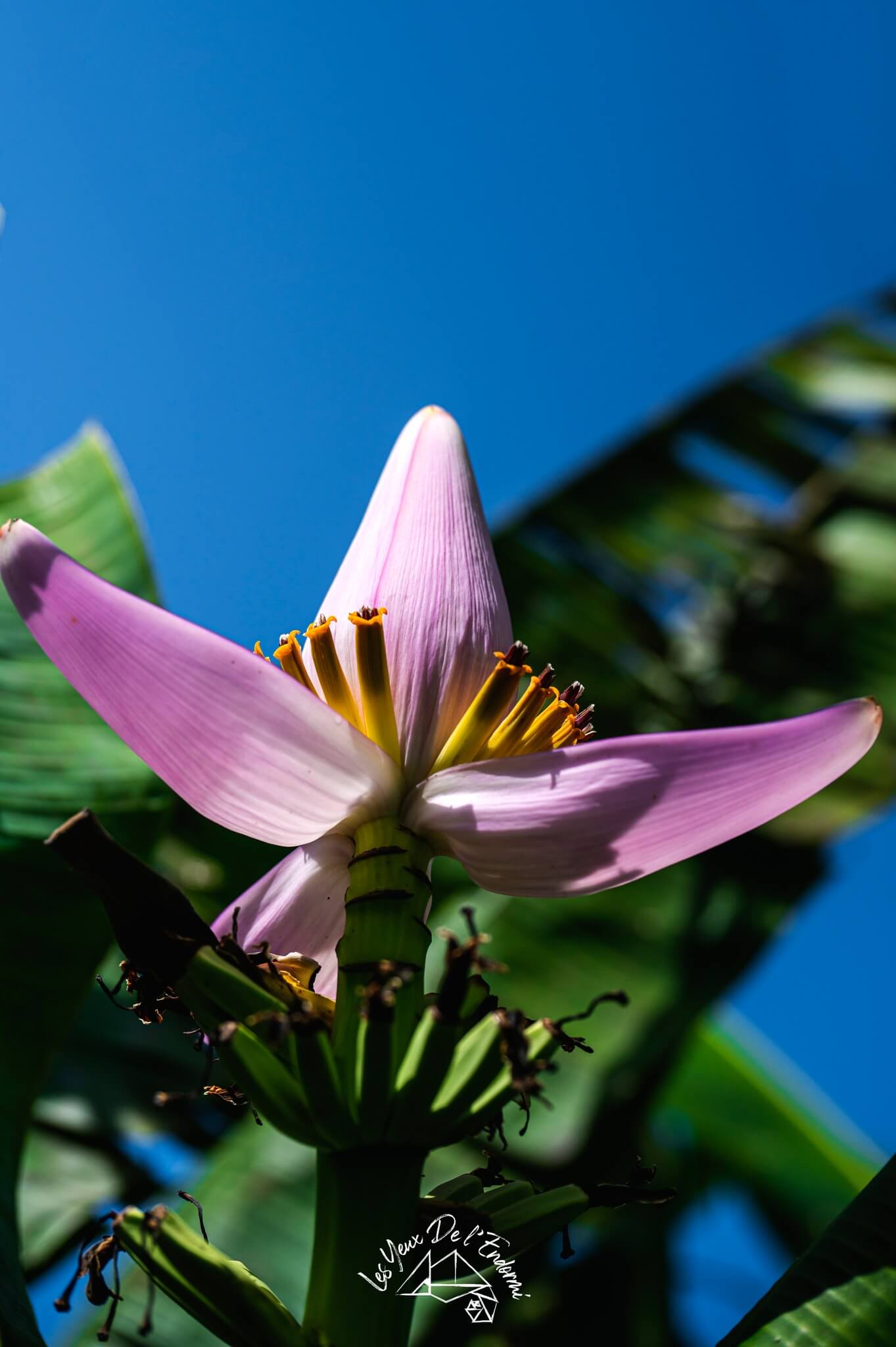 486474532_684059654189165_2243289714349985655_n