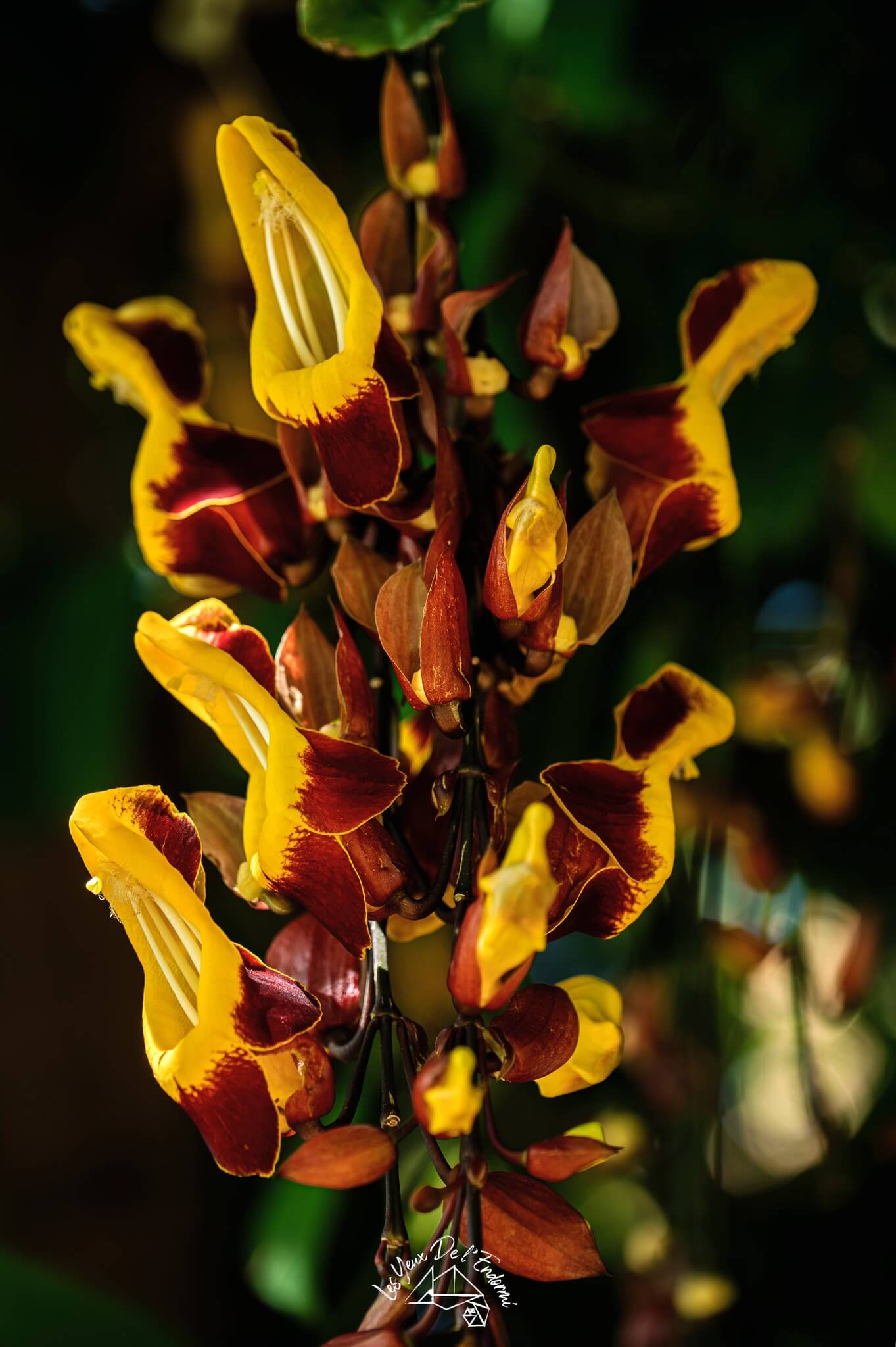 486573145_684059737522490_9112689862884309254_n