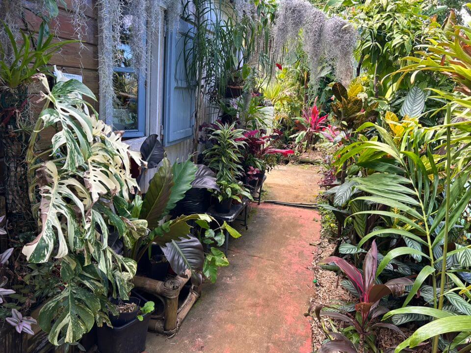 537889028_800396305888832_6801271019741409825_n