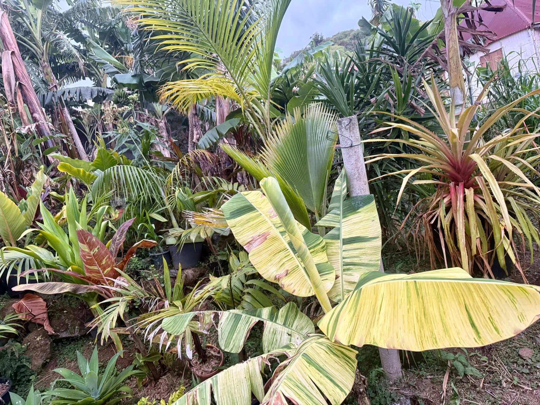 572785398_857717910156671_5362811267630014282_n